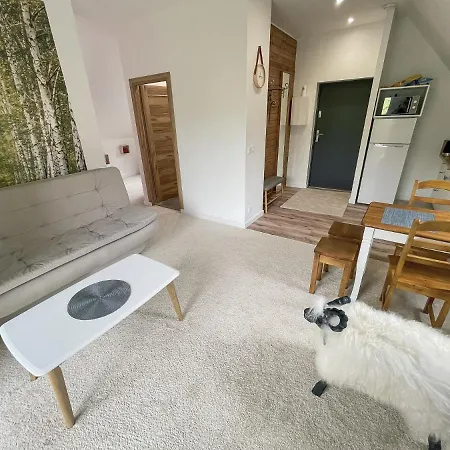 Super Klimat ,apartamenty Dla Rodzin !!!